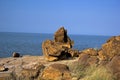 FOSSIL PARK, KUTCHCHH, GUJARAT Royalty Free Stock Photo